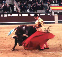 Los movimientos del pasodoble imitan los del torero en la plaza